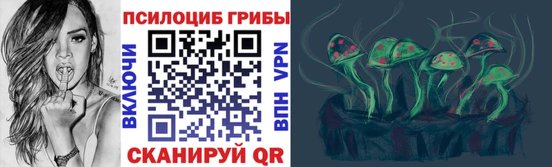 Псилоцибиновые грибы GOLDEN TEACHER darknet телеграм Покров